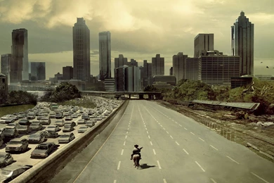 The Walking Dead Wallpapers