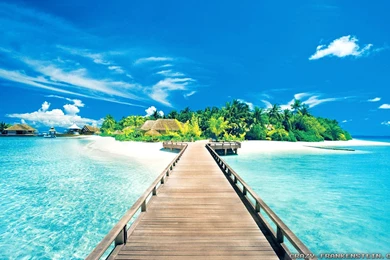 Beautiful Summer Wallpapers   Crazy Frankenstein