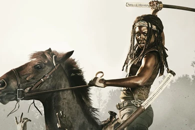 37 Michonne (The Walking Dead) HD Wallpapers