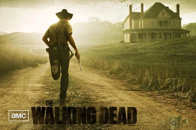 The Walking Dead Wallpapers Hd 17 26774 Images Hd Wallpapers