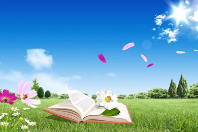 Beautiful Summer Wallpapers For Desktop