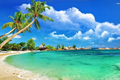 Tropical beach 1920x1200 beach wallpapers