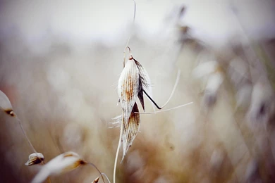 95 Beautiful Images From Ubuntu 14.04 Wallpapers Contest ...