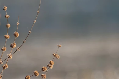 Ubuntu Wallpapers 3764 Backgrounds Wallpapers   Wallnos.com