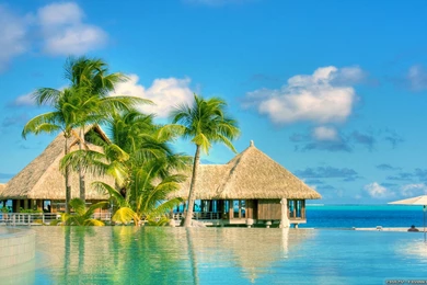 Best Wallpapers For Summer Season   Wishespoint