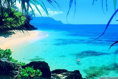 Summer Wallpapers 1080p