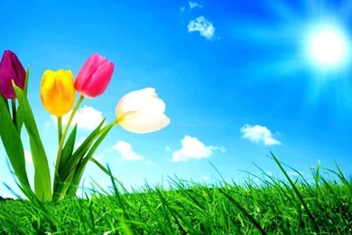 HD Backgrounds Wallpapers For Laptop