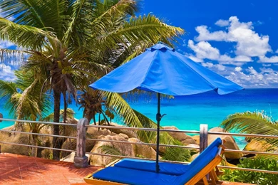 Top Wallpapers With Summer