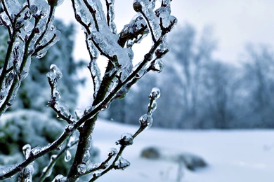 Winter Wallpapers For Android   HD Wallpaper Backgrounds Of Your ...