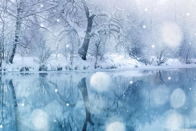 Winter Snowfall HD Desktop Wallpapers : High Definition : Mobile ...