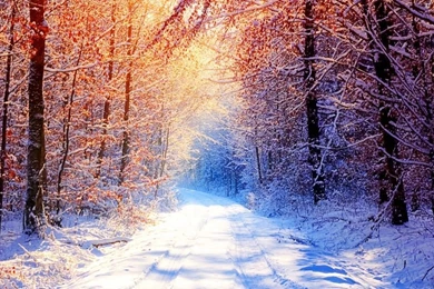 Winter Scenes HD Desktop Wallpapers : Widescreen : High Definition ...