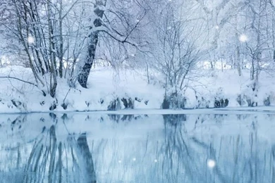 Winter Snowfall HD Desktop Wallpapers : High Definition : Mobile ...