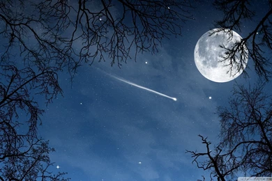 Star Images_other_download Free Wallpapers