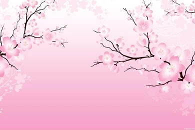 Sakura Flower Wallpapers Good B82   WALLPAPEREL