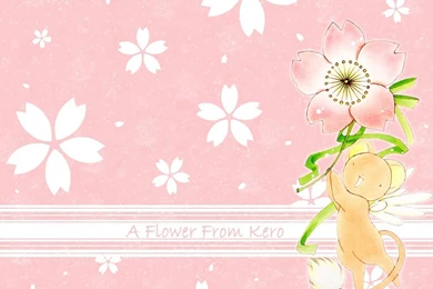 Cardcaptor Sakura, Wallpapers
