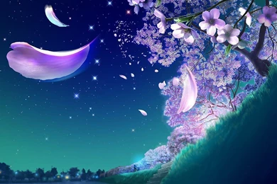 Sakura Wall Help This Is My Favorite Wallpapers Of All8230 Fresh ...