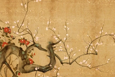 Sakura Wallpapers   Digital Art Wallpapers