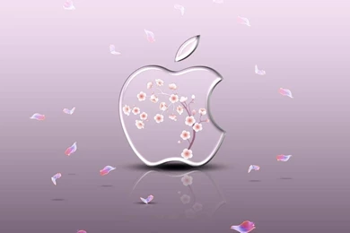 Ipad Wallpapers   SaKuRa By LaggyDogg On DeviantArt