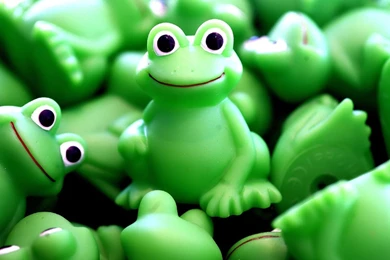 Creative frog green desktop background.jpg