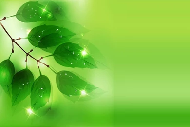 Hd Green Desktop Backgrounds Wallpapers ~ Toptenpack.com