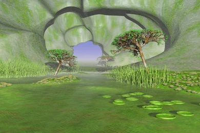 Desktop Flowers Green Yellow Desktop Wallpapers 1024x768, Desktop ...