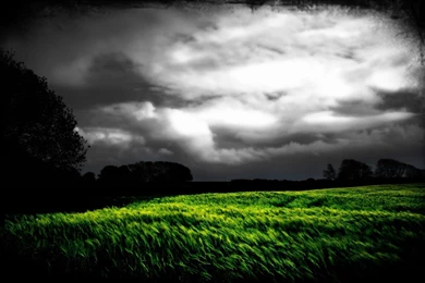 Green Nature Photos 1680x1050 Fantasy Green Desktop For Apple ...