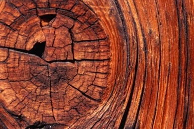 Wood iPhone 5 Wallpapers