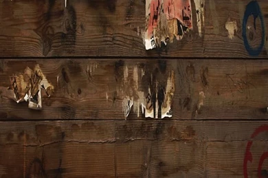 iPhone 5 Wood Wallpapers