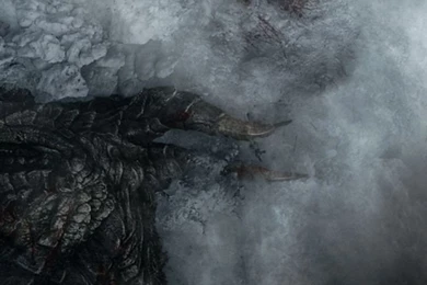 Download Wallpapers 750x1334 The Elder Scrolls Skyrim, Warrior ...