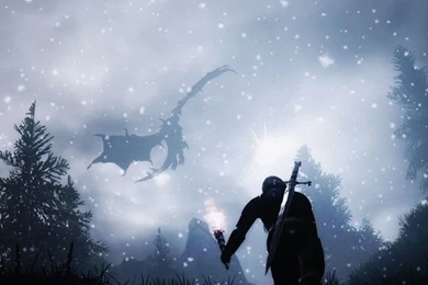 Download Skyrim Starry Night Wallpapers For iPhone 4