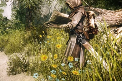 Download Skyrim Reading A Book Wallpapers For IPad