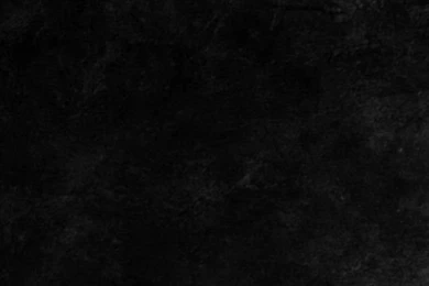 Thieves Guild Skyrim iPhone 5 Wallpapers