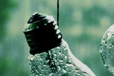 Drops on Bulbs iPhone 5 Wallpaper.jpg