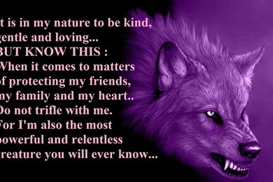 803 Wolf HD Wallpapers