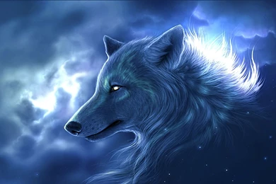 Cool wolf desktop backgrounds wallpaper.jpg