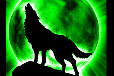 Gallery For > Cool Backgrounds Of Wolves