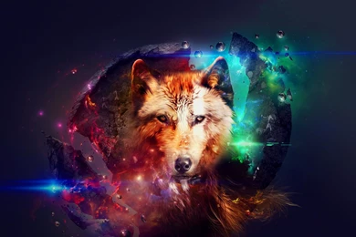 Abstract wolf Computer Wallpapers, Desktop Backgrounds