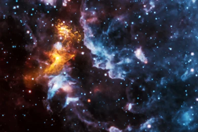 Free Download Wallpapers HD : Cool Wolf Backgrounds For Computers