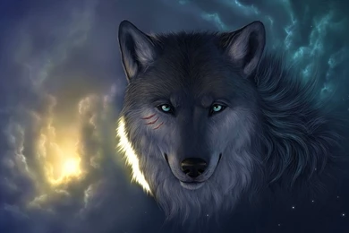 Wolf Wallpaper Backgrounds