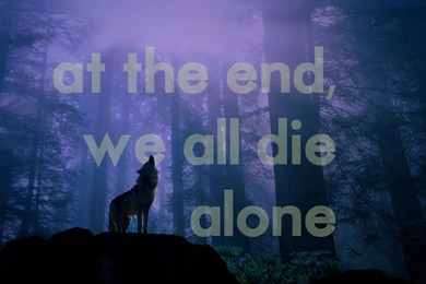 Howling Wolf Wallpapers Pics OE8   WALLPAPEROX.COM