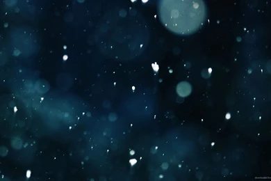 Download 1920x1080 Snowflakes In A Dark Blue Environment Wallpapers