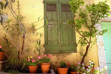 Spring   Seasonal Wallpapers   Crazy Frankenstein