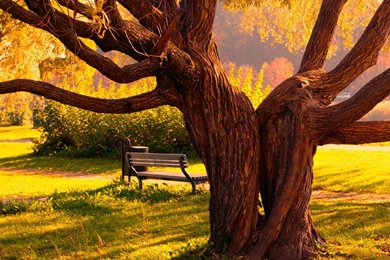 Galaxy S3 Wallpapers HD   Beautiful, Stunning Wallpapers