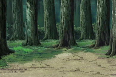 Bosque Naruto By Lwisf3rxd On DeviantArt