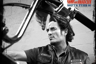 Tig Trager Sons Of Anarchy Wallpapers (25134482) Fanpop