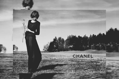 Chanel   Chanel Wallpapers (25852561)   Fanpop