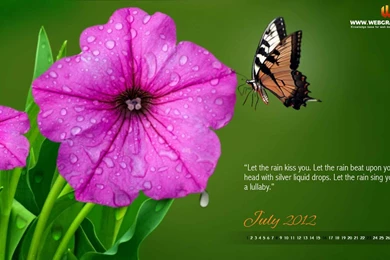 Free Wallpapers Desktop Computer