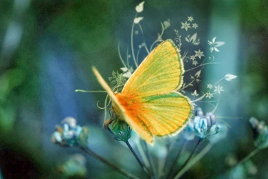 Free Wallpapers For Computer Screen   Wallpapers HD Base