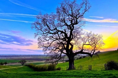 Hd pc wallpapers free download