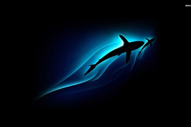 Sharks Wallpapers Digital Art Wallpapers